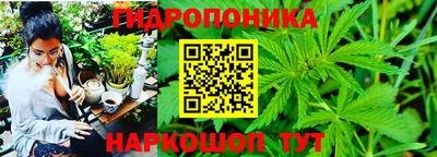 Альфа ПВП Будённовск