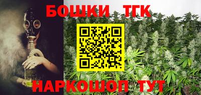 Альфа ПВП Будённовск