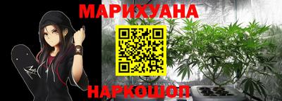 Альфа ПВП Будённовск