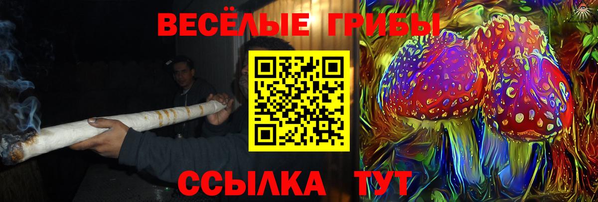Галлюциногенные грибы мицелий Туапсе
